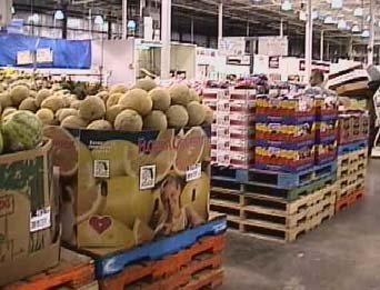 COMERCIO - FRUTA MERCADO